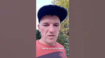 КАКИЕ ЦВЕТЫ МОЖНО И НЕЛЬЗЯ САДИТЬ ВОЗЛЕ ВИНОГРАДА