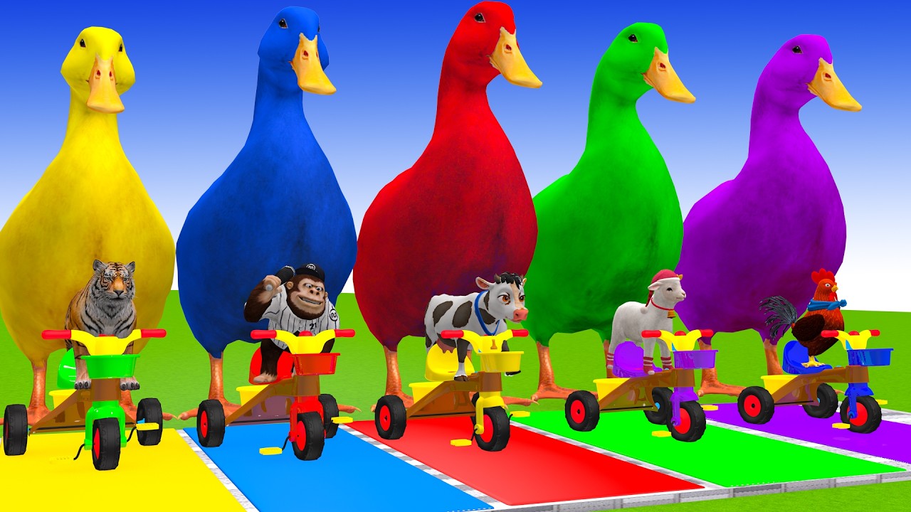 Long Slide Game With Cow Elephant Gorilla Hippopotamus Tiger 3d Animal Game Funny 3d Animals