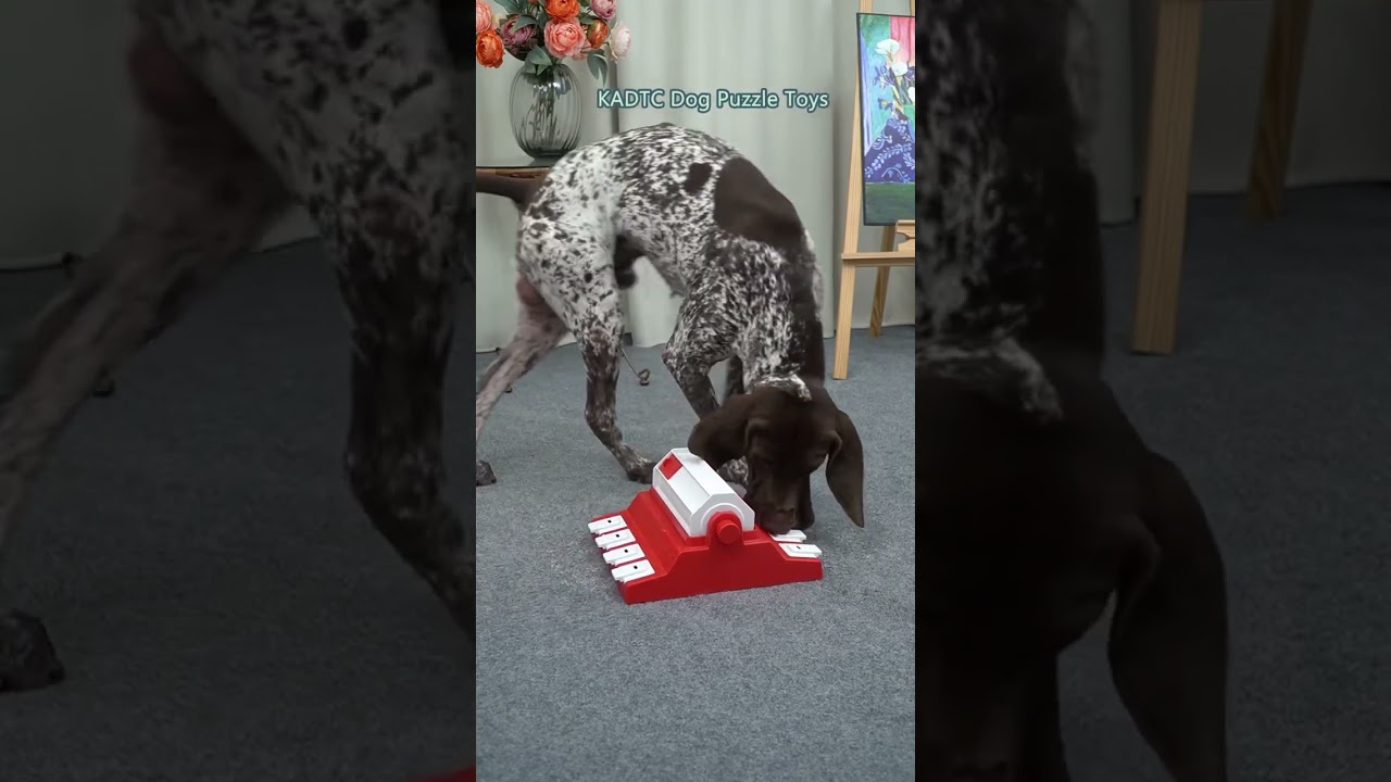 KADTC Puzzle toys! Best dog Toy in USA! W11369