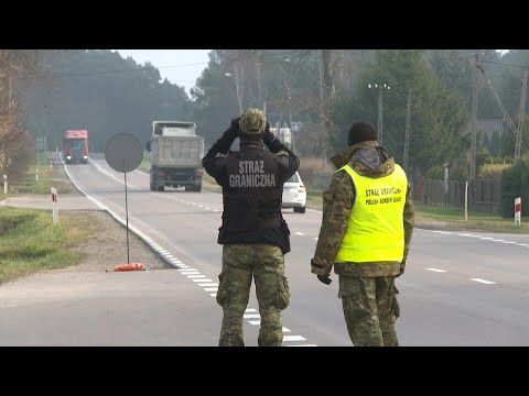 Video: Granični stup između zemljišta grada i tvrđave opis i fotografije - Bjelorusija: Brest