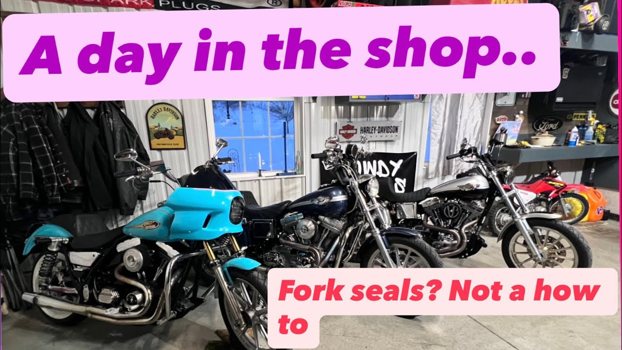 Мотоциклы FXR, сальники вилок и весёлый день в мастерской!