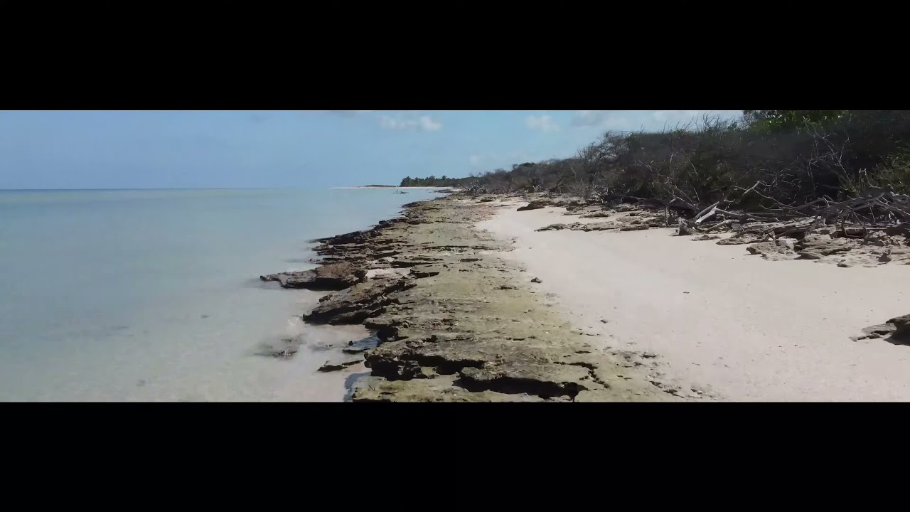 Exploring the Mayan Jungle — Trailer #1