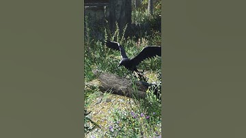 Fallout 4 but the Matrix broke #shorts  #fallout4  #gaming  #memes  #funny