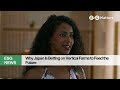 Japan's Indoor Farming Market Set To Double By 2033|Japan ESG Matters
