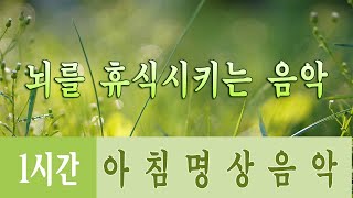 행운을 끌어오는 신비한 명상음악  🌲하루10분 만병을 치료 해주는 힐링 명상 기치료 음악 및 영상 - 아침음악, 힐링음악, 명상음악, 스트레스해소음악