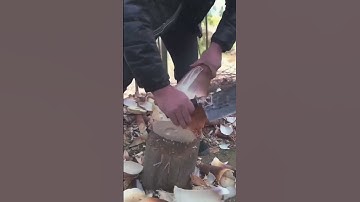 Sharing the process of peeling bamboo shoots - a good tool can make the work more efficient