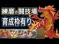 キングティラノスで練磨の闘技場を周回するパーティー紹介【パズドラ】