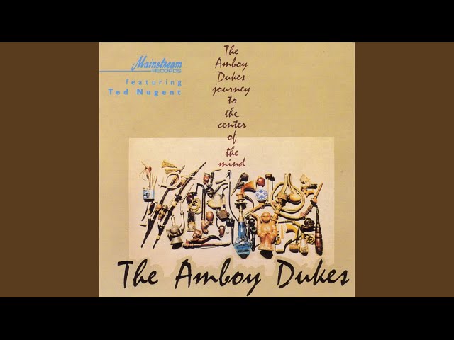 The Amboy Dukes - Inside The Outside