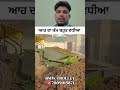 Dairy Farm ਲਈ ਕੰਮ ਦੀ ਚੀਜ਼ #surendermadh #virals #farming #dairyfarm #farming #agriculture #shorts