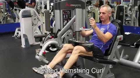 Hamstrings - Seated Hamstring Curl (L21)