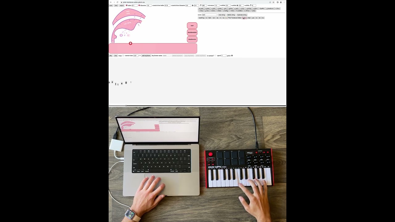 Pink Trombone Editor