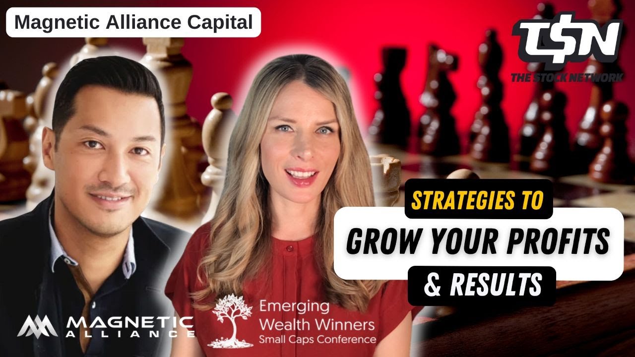 Proven strategies to double or triple business profits for ambitious ...