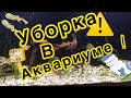 Уборка в аквариуме, новые растения!!