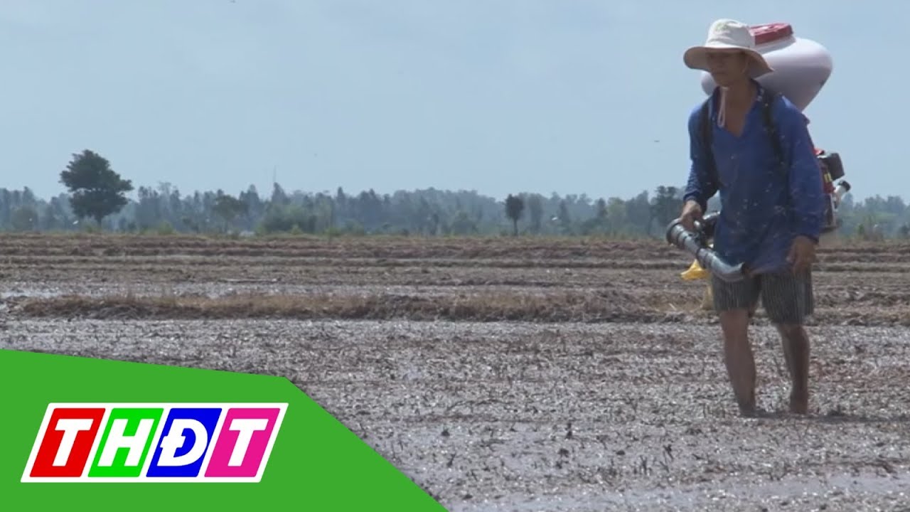 Khoa học đất | Khoa học đất – thách thức sống còn ngành nông nghiệp | Tái cơ cấu nông nghiệp | THDT