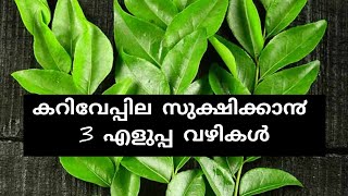 കറിവേപ്പില സുക്ഷിക്കാ൯ 3 എളുപ്പ വഴികള്‍/how to store curry leaves for long time/3 Easy types/