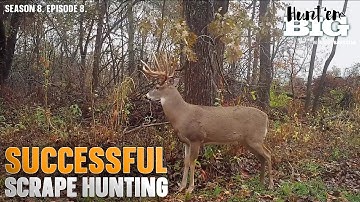 Find the Best Buck Scrapes to Hunt