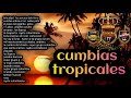 cumbias tropicales 🌴 vol.2