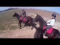 Mezőgyáni Lovastúra - Helmet cam 2019.03.30.