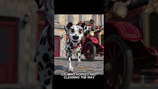 Dalmatians Were Fire Dogs Before Disney Made Them Famous #DalmatianFacts #DogBreed #animation #Dogs