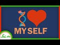 Why Some DNA Is Selfish