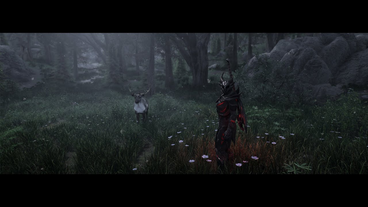 skyrim special edition enb binary skyrim special edition enb binary