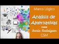 ANÁLISIS DE ALTERNATIVAS MARCO LÓGICO CSM