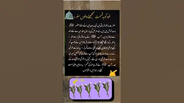 حضور رحمت عالم صلی الل ہ علیہ فرماتے اے عائشہ میں اپنی کے لیے ہر نماز کے بعد اپنی امت کے لئے بخشش 