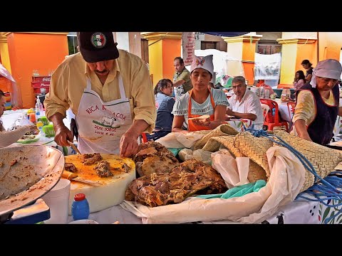 Feria De Actopan Hidalgo 2023