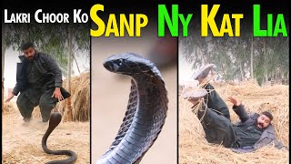 Snake Attack Sanp Ka Hamla Pendu Plus Angreez New Comedy Show 2023 Funny Videos