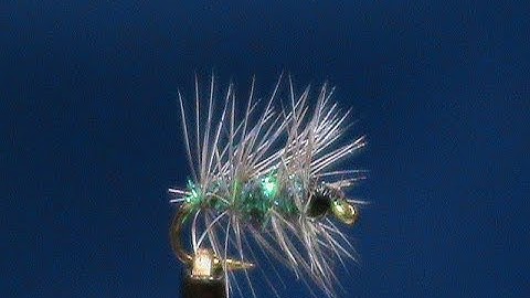 Beginner Fly Tying a Peacock GSS Gnat with Jim Misiura