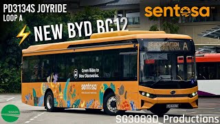 [TTS] NEW BYD BC12 - Sentosa Buses BYD BC12A04 [PD3134S] - Bus Service A Joyride
