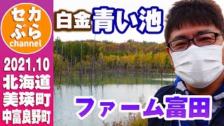 【北海道】幻想的な風景が広がる・白金青い池＆ファーム富田