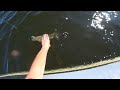 Пару щучек на воблеры Mr. Musurok Lures&Rods. Рыбалка на спиннинг с лодки.