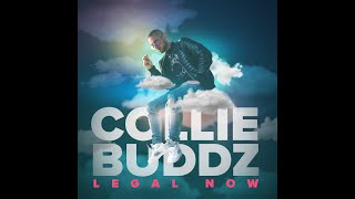 Video thumbnail of "Collie Buddz - Legal Now (Official Audio)"