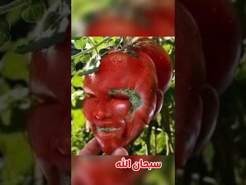 صور خضار وفواكه بأشكال غير مألوفة 