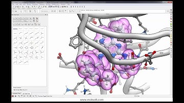 Webinar: Ligand Design using the ICM 3D Fully Interactive Ligand Editor