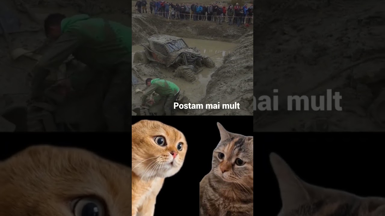 Va place la Offroad? #offroad #offroad4x4 #noroi #masina #crash