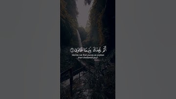 سورة الضحى بصوت الشيخ عادل ريان