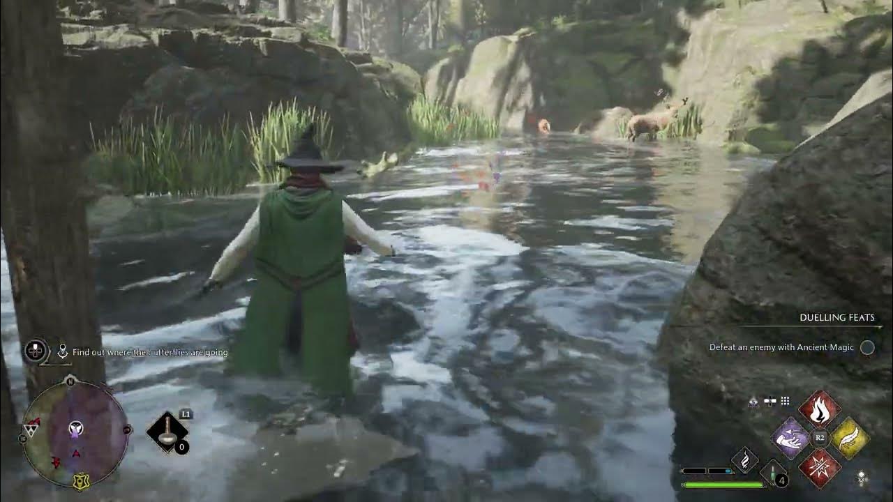 Hogwarts Legacy Follow the Butterflies Find Out Where The Butterflies Are Going Collect