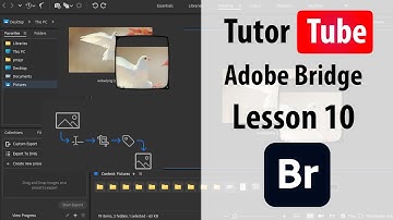 Adobe Bridge - Lesson 10 - Moving Files