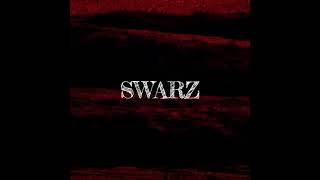 Tarik Bouisfi's Today Favorite : SWARZ - Androphobie