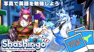 【コラボ】写真で英語を勉強しよう！│Shashingo Learn Japanese with Photography