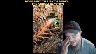 More Parz: This Isn't A Spider... It's A Snake Reaction