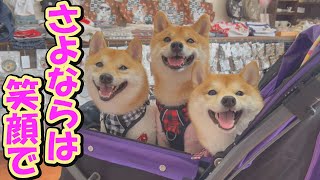 A local store that I had been relying on suddenly closed down, so I went to say goodbye.