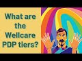 What are the Wellcare PDP tiers?
