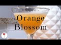 Orange Blossom | How to make a cocktail with Gin, Sweet Vermouth &amp; Orange Juice