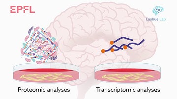 Reconstructing Lewy body formation offers insight into Parkinson’s disease