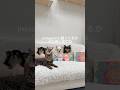 ラブブ6個セット開封🐾チビ達と一緒にドキドキの結果は…!? #shorts