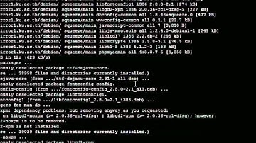 Install MySQL and phpMyAdmin