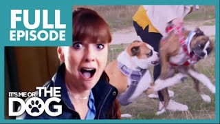 Aggressive Boxer ATTACKS other Dogs! | Full Episode | It's Me or the Dog